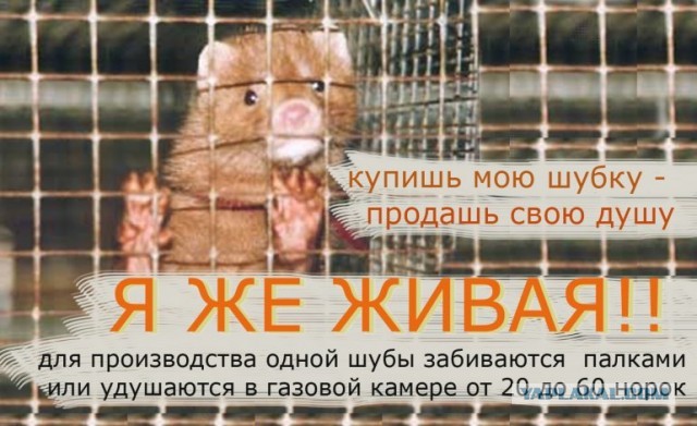 Скоро зима