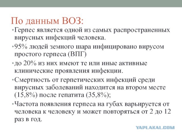 «Фонтанка» рассказала о петербургской семье, в которой от ковида за неделю умерли отец, мать и их 36-летняя дочь. Она ждала