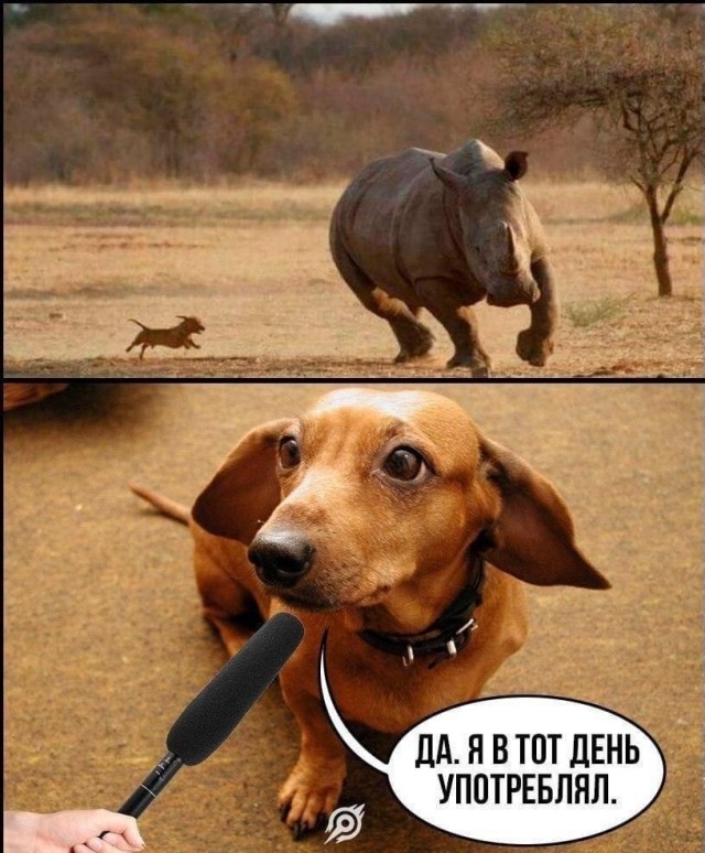 Зачем жена, если она не работает и не убирается?