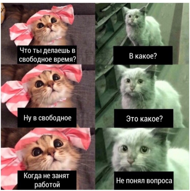 Дебилизмы из сети 05.02.21