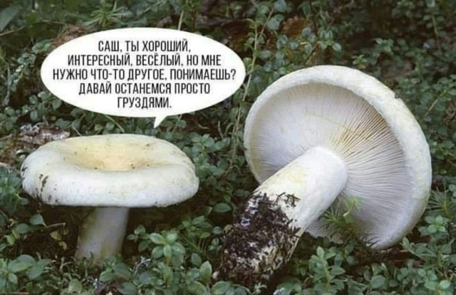 Кретинизмы из сети 01.03.21