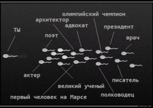 Забавные пошлости