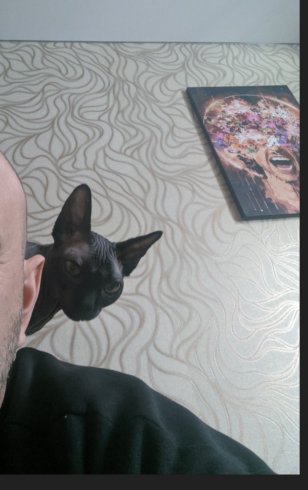 А котовторник уже начался?