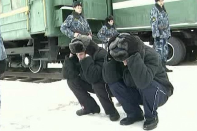 С..ки непривитые - 2