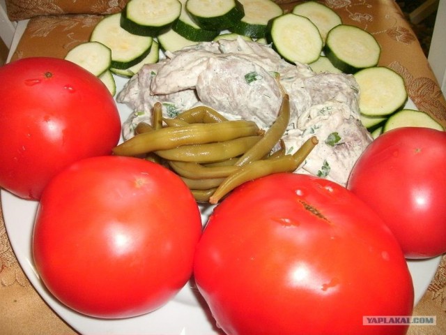 Пятничные посиделки на теплотрассе ©