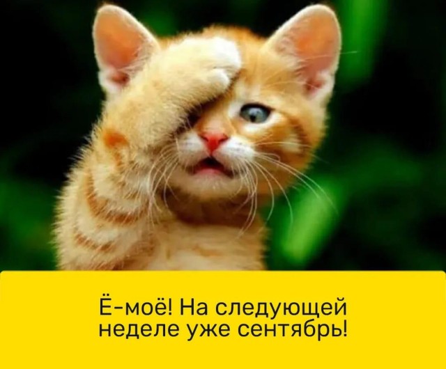 Картинки и мемы для настроения 26.08.2021