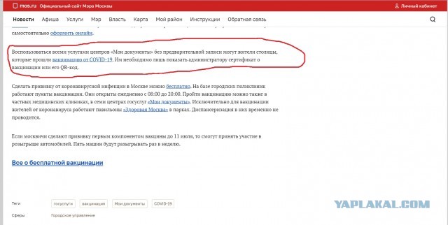 Про эти ваши куриные коды