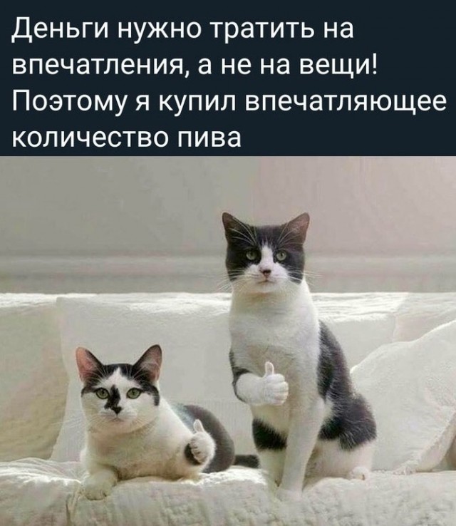 Так себе картинки 31.12.21