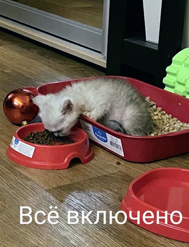 Картинки и мемы, всем хороших выходных