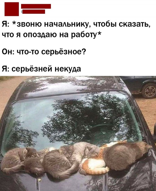 Так себе картинки 02.06.22