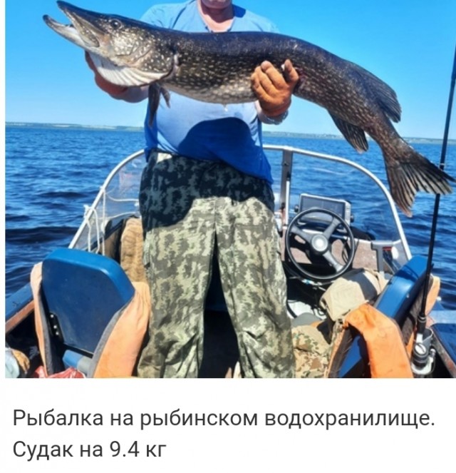Меня бросил муж