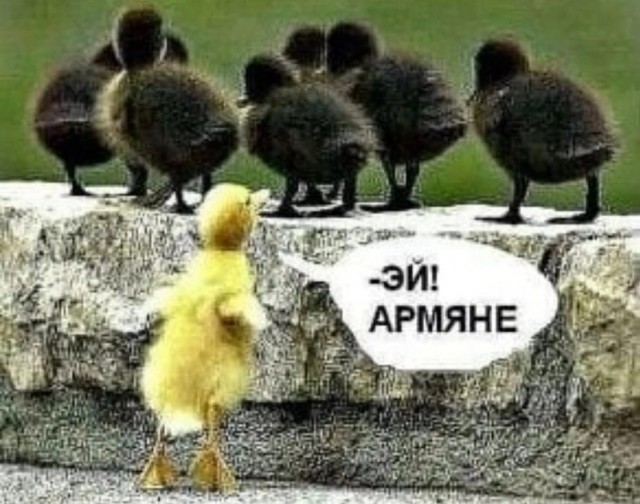 Какая красота! Кипр нервно курит с его булыжниками-пляжами, кто ездил поймет!