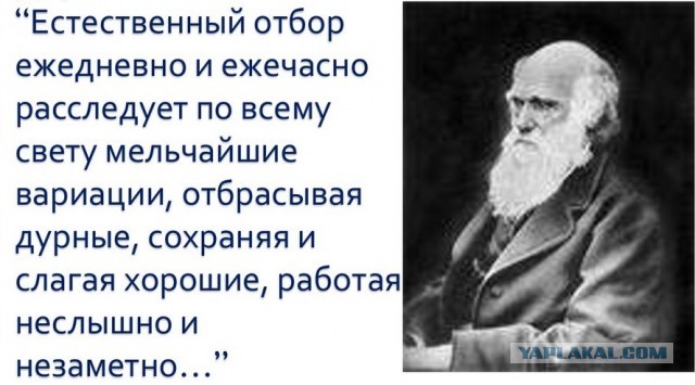 Психанул, что мамочка наругала