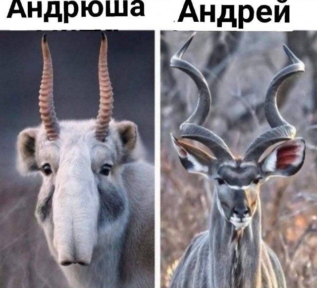 Народная меДИЧина 5023