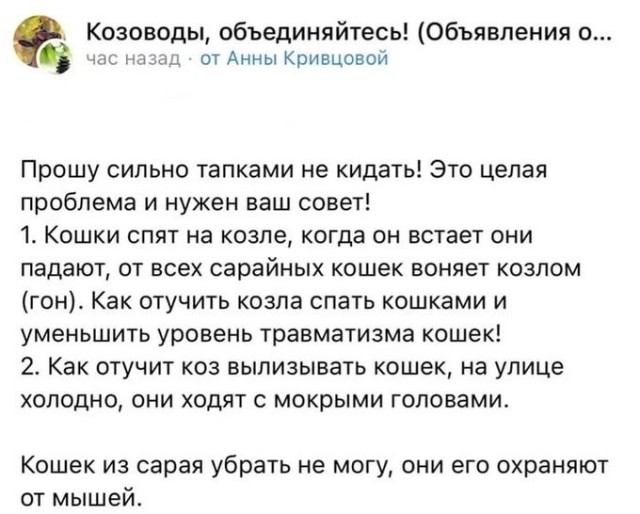 Скриншоты и комментарии из социальных сетей 10.12.22