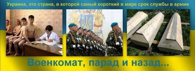 Зеленский начал призывать на войну студенток ВУЗов