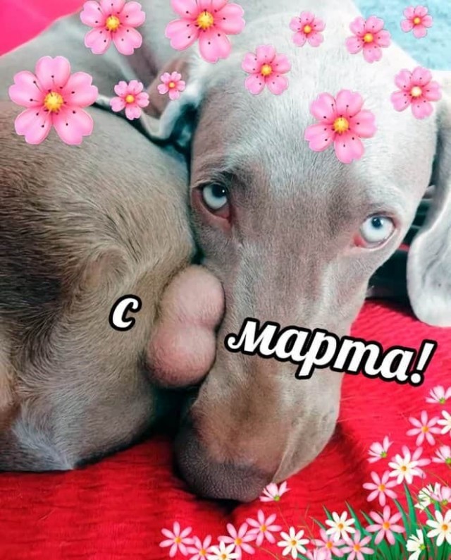 Конкурс на самую открытку с 8 марта.