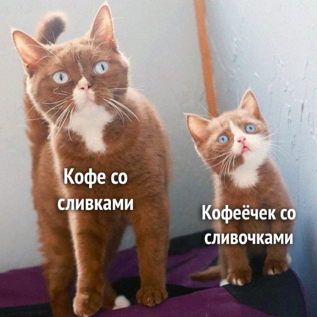 Картинки и мемы, всем хороших выходных