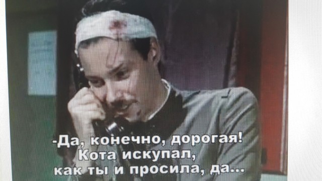 Попытка помыть кошку