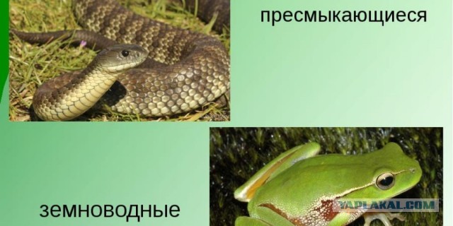 Работница микрокредитной компании немного "берега попутала" со своей самоуверенностью