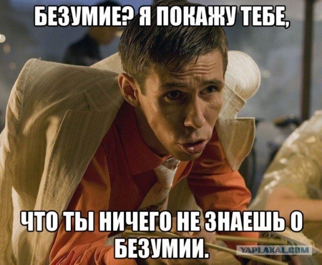 Подобрал кошака на свою голову!