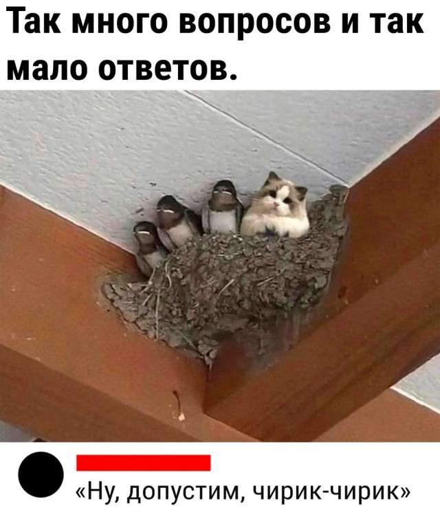 Так себе картинки 03.07.23