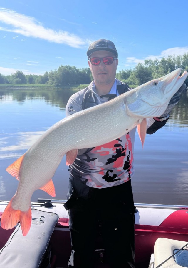 Рыбак из ХМАО поймал гигантскую щуку-альбиноса и отпустил