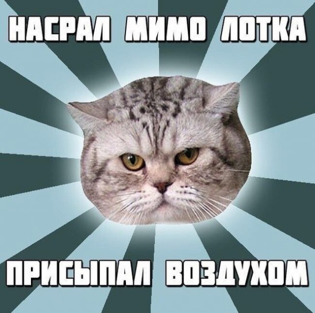 Народная меДИЧина 5009