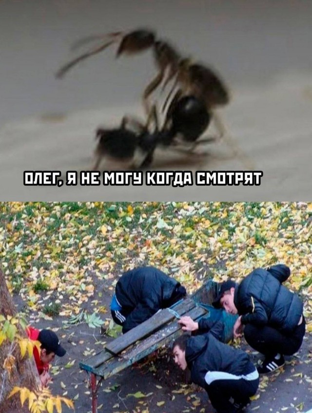 Народная меДИЧина 1002