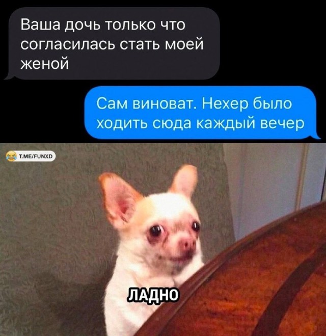 Так себе картинки 24.07.23