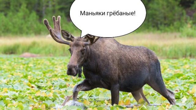 «Я могу быть невинной хоть сто раз». Капсулы девственности покорили Азию
