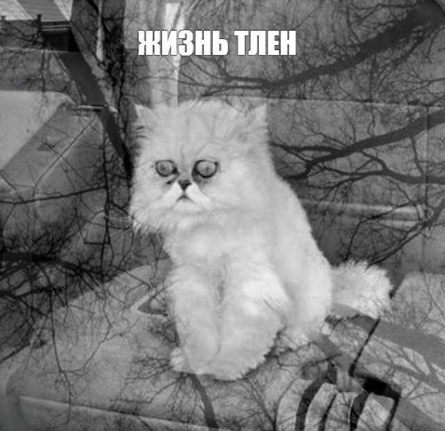 Примерно 15 млн россиян находятся в состоянии глубокой депрессии