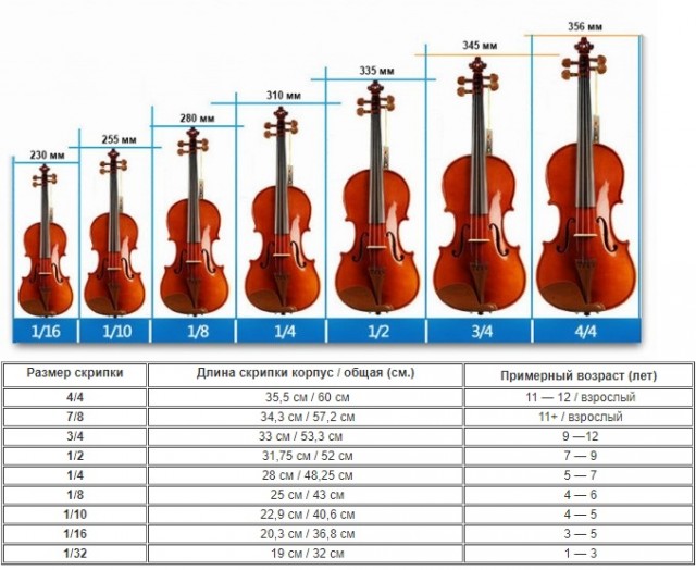 Размер скрипки на взрослого. Размеры скрипок по возрасту. Размеры скрипок таблица. Размеры скрипки в сантиметрах.