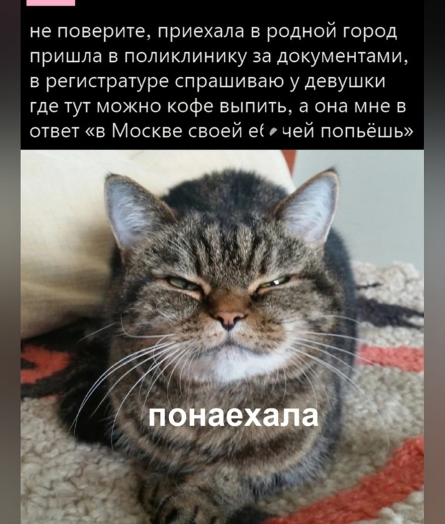 "Ты узнаешь ее из тысячи" Как распознать лесбиянку