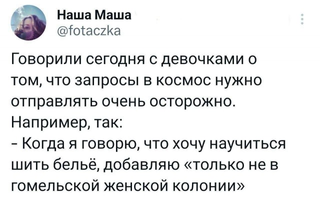 Весёлый полтишок 01.11.23