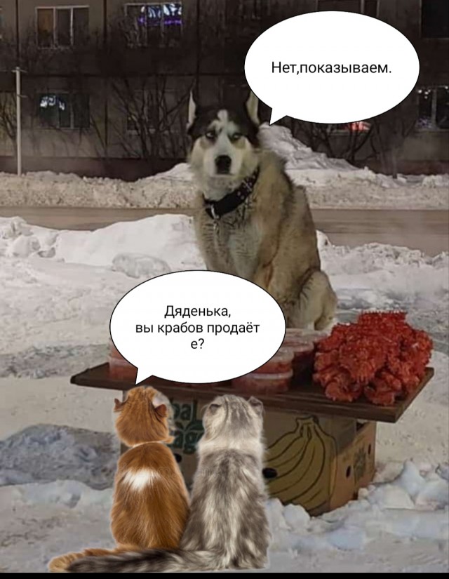 Суровый магаданский продавец