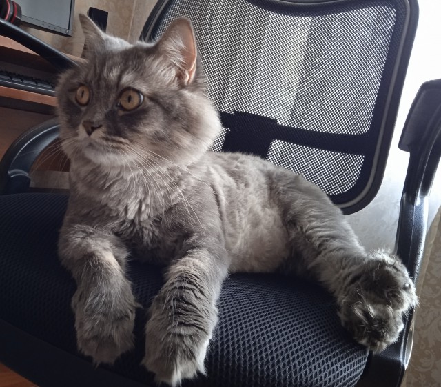 Которабство