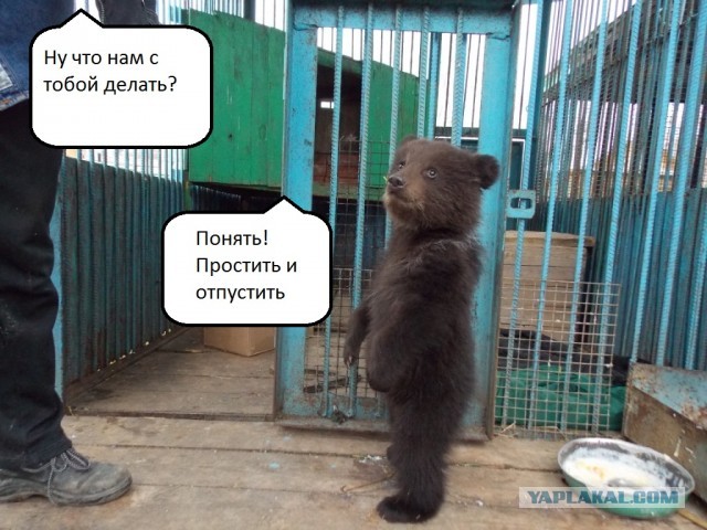 По прозвищу Тихон