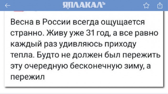 Забавные комментарии из социальных сетей (08.04.24)