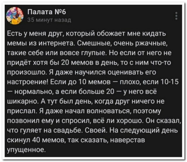 Забавные комментарии из социальных сетей (15.04.24)