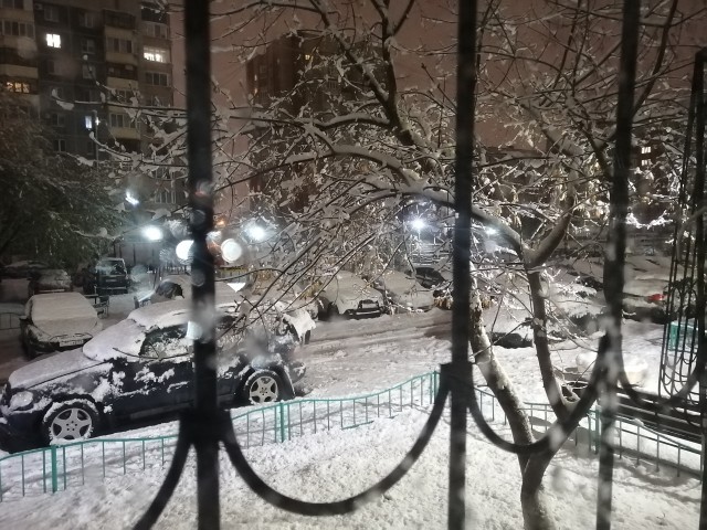 Это май баловник, это май чародей...
