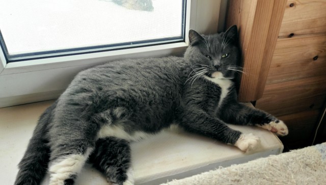 Коть, тебе нормально?