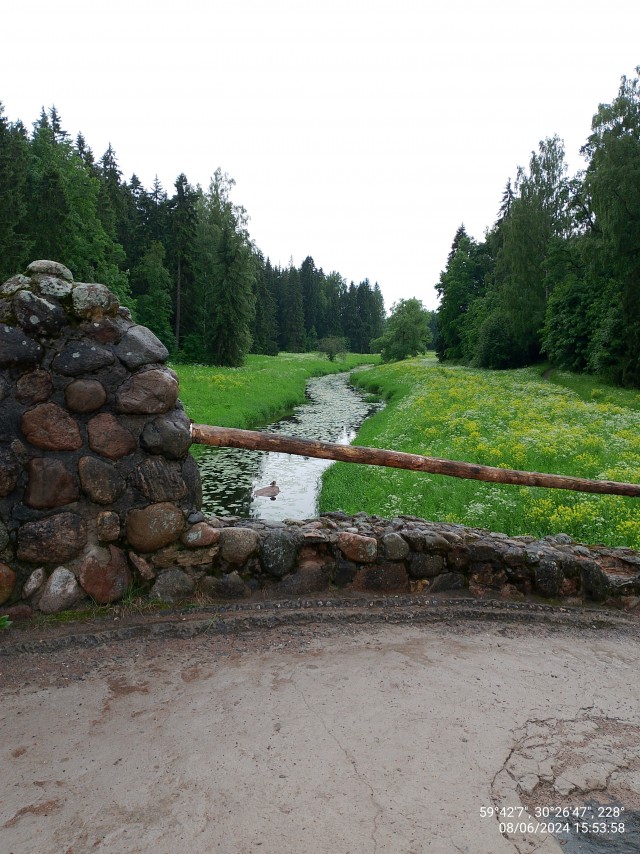 Фоточку сделал сейчас