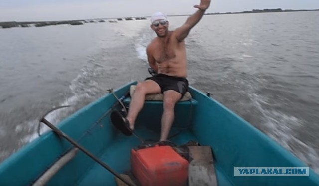 Конкурс «Космические грибы». Читаем рассказы и стихи