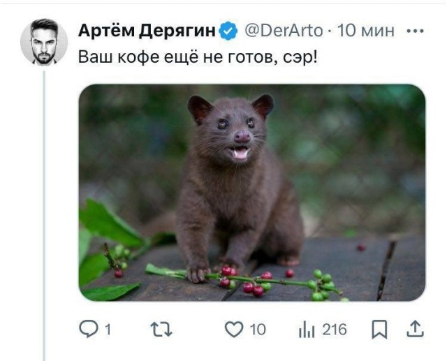 Веселые картинки к пятнице (26.07)