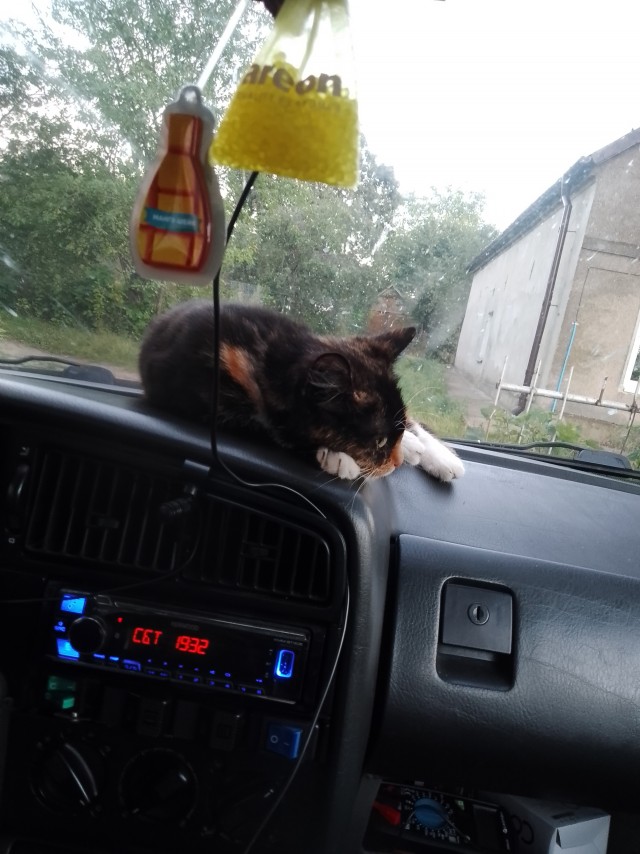 У меня ЧУМА