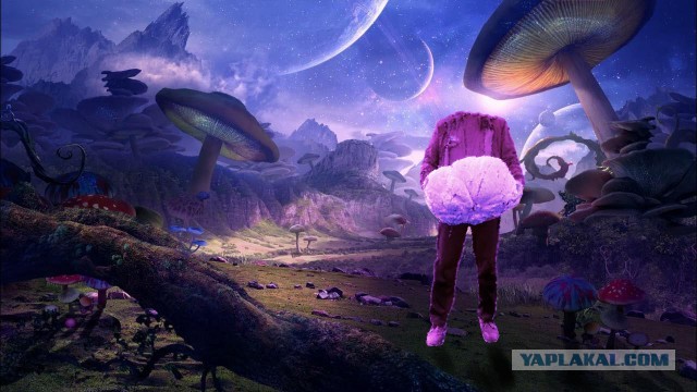 Быстрая тихая охота
