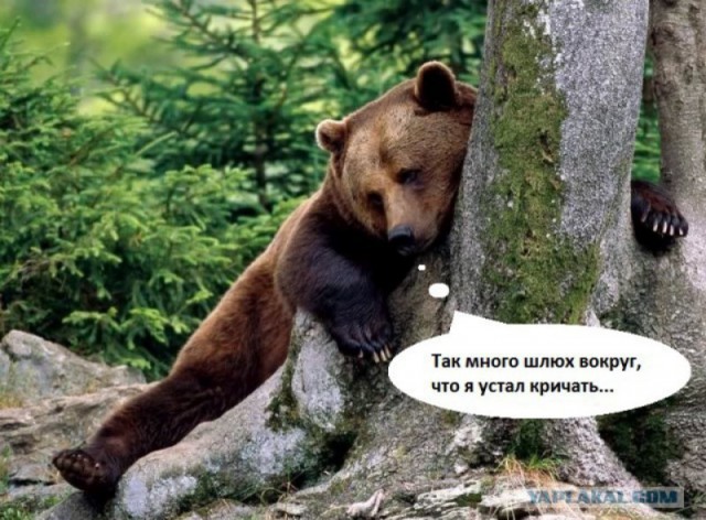 Ну а вы всё спорите. Точка поставлена