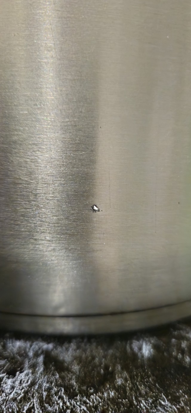 Ничто не вечно под луной,Все в этом мире тленно.