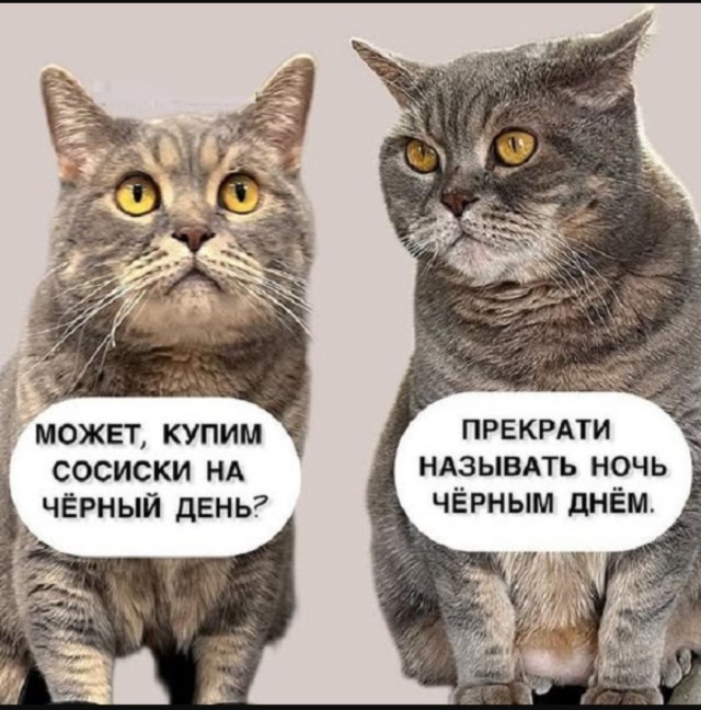 Интернет мемы на утро субботы